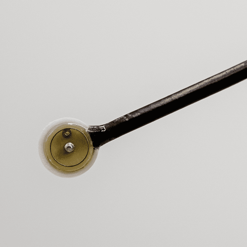 Wasp Electrode, with cable